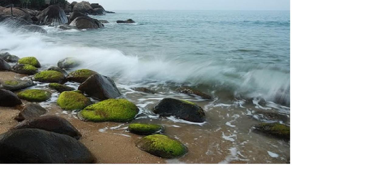 Da Nang Minh Hai 外观 照片
