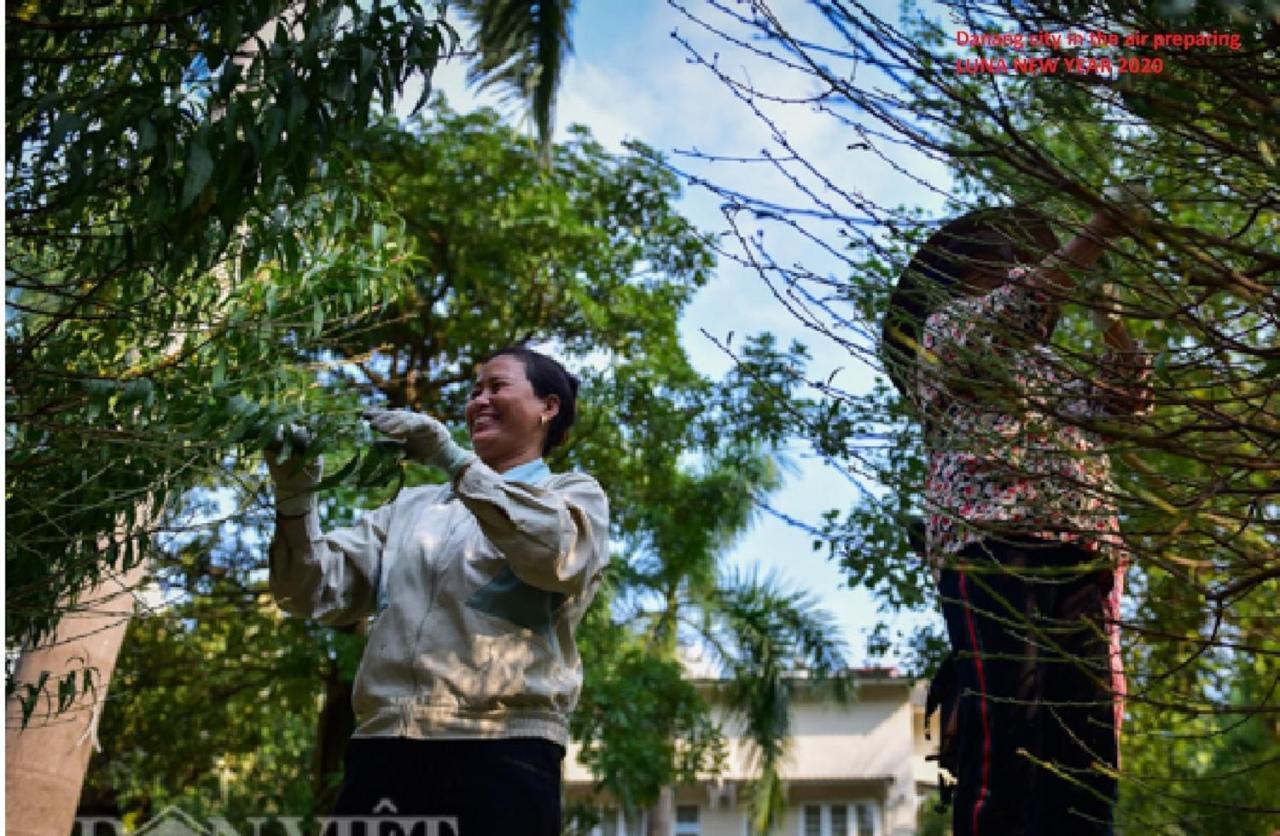 Da Nang Minh Hai 外观 照片